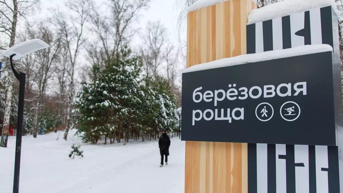     Новый экопарк «Березовая роща» открылся 26 декабря. Смотрим, что там есть.