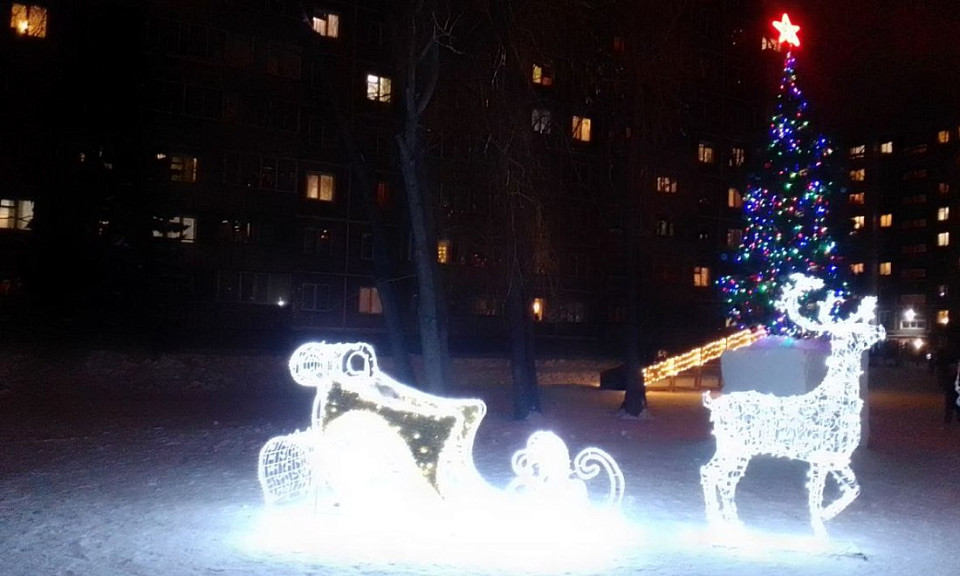 Фото Д. Иванова