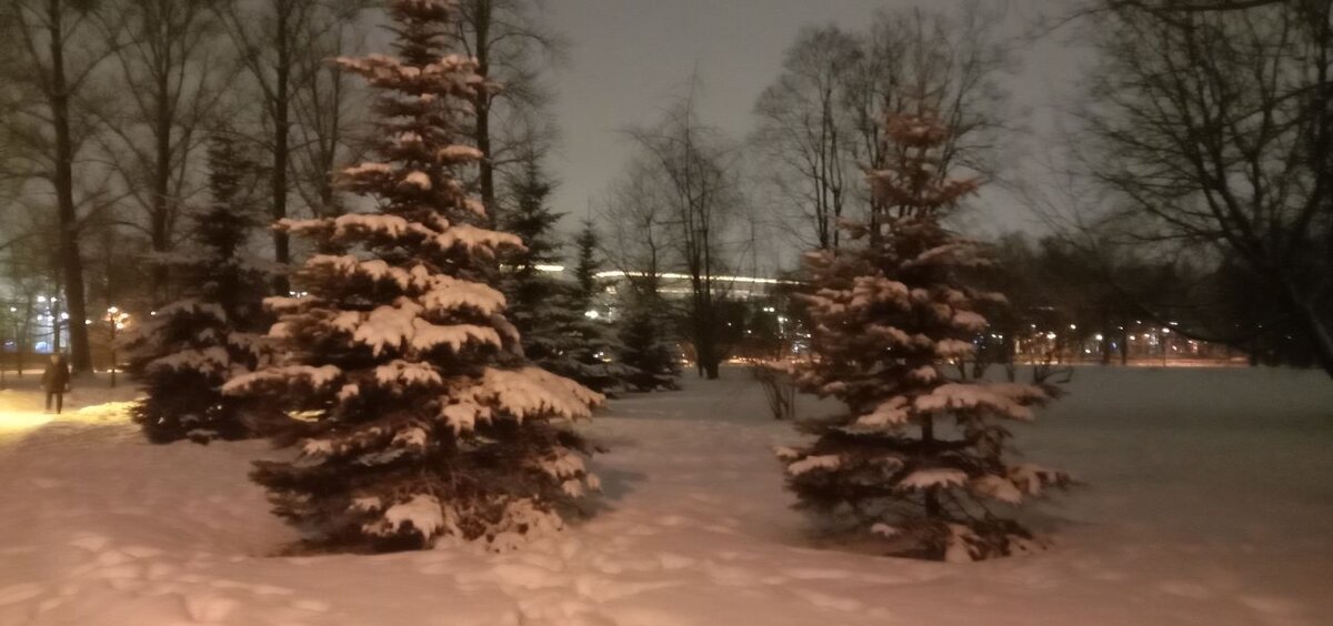 И эти растут там же.