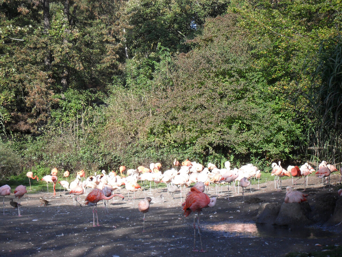 Все фото из личного архива. Листайте.