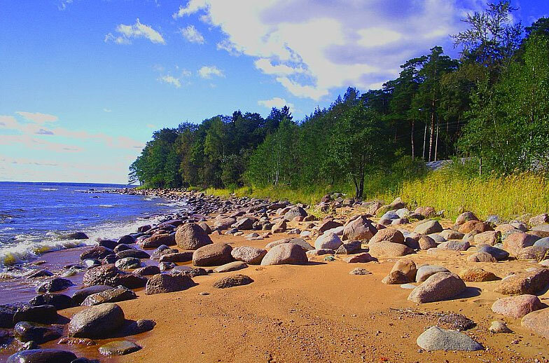 Берег для купания. Сестрорецк берег финского залива. Зеленогорск берег финского залива. Пляж в Сестрорецке на финском заливе. Репино финский залив.