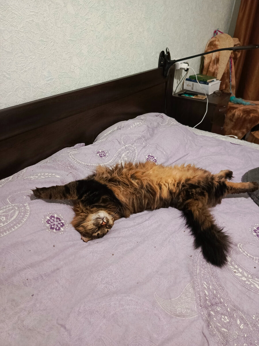 От. топыриваюсь