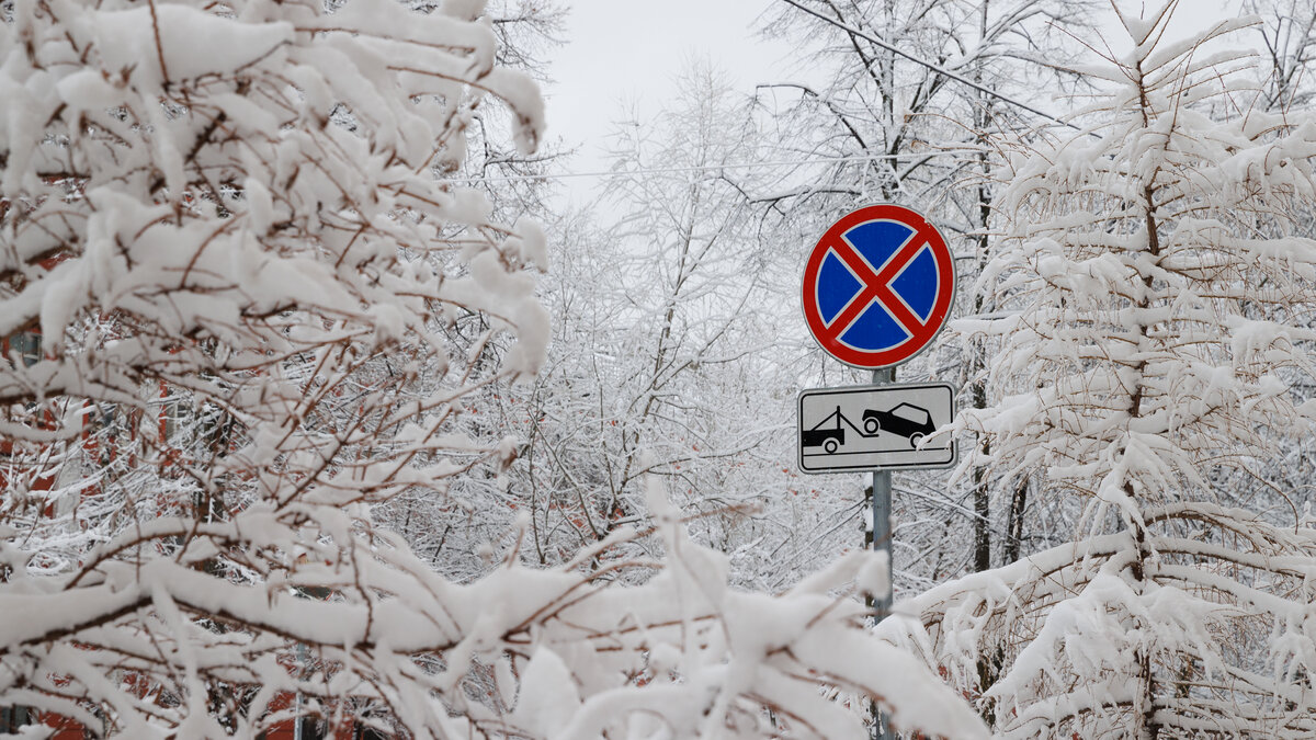 © Форпост Северо-Запад / Павел Долганов
