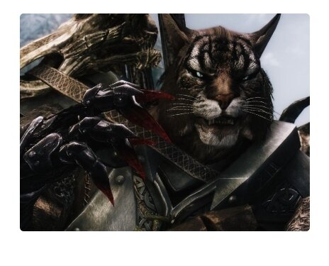 Скайрим замедление. Охота ночных хищников. Khajiit body. Skyrim se Moonpath to Elsweyr.