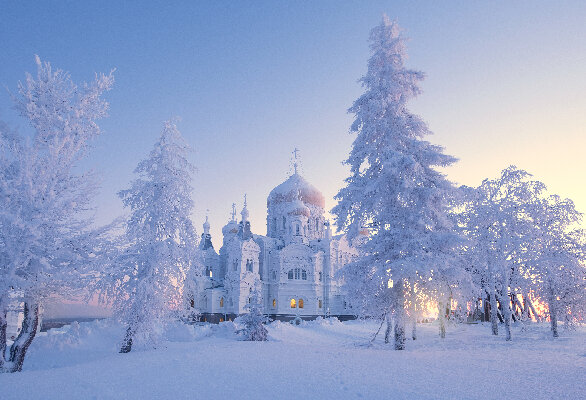    Фото: istockphoto/Svetlana Krayushkina