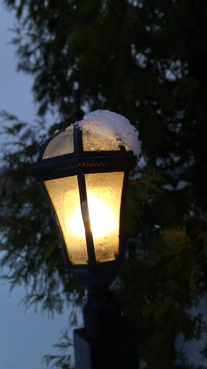 Фото автора