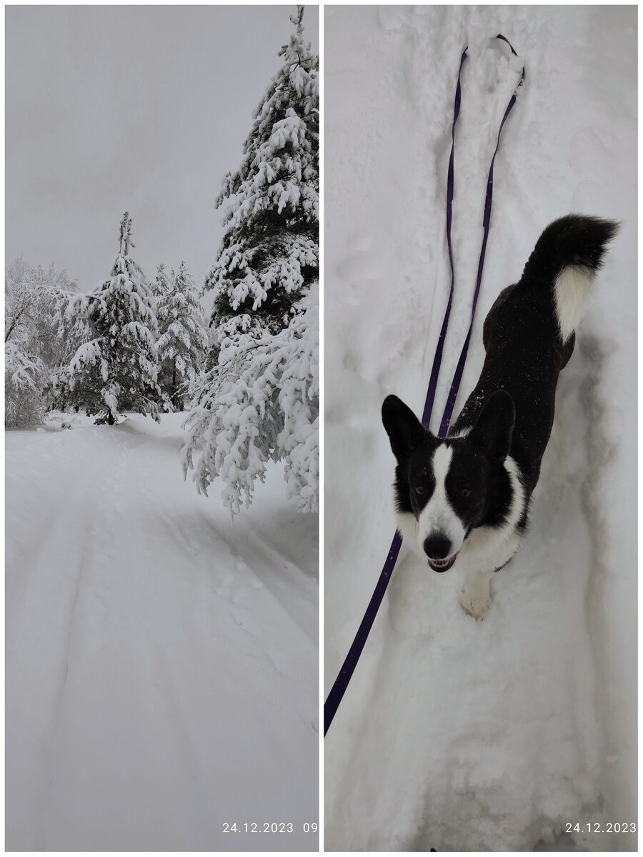 Иди, иди, Мать, я за тобой!