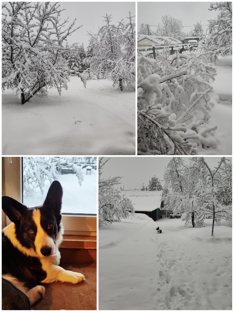 может не надо?