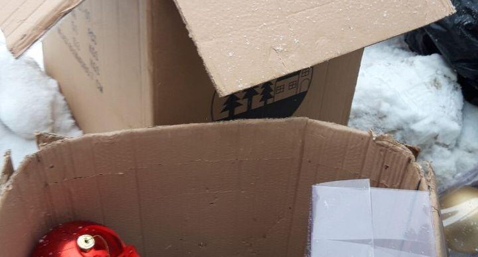     Фото: Микрорайон Малая Истра / Telegram