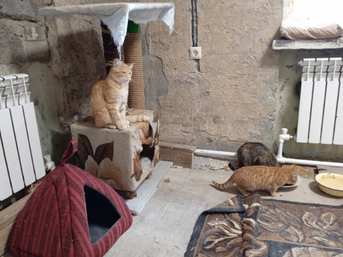 Условия были не самые подходящие