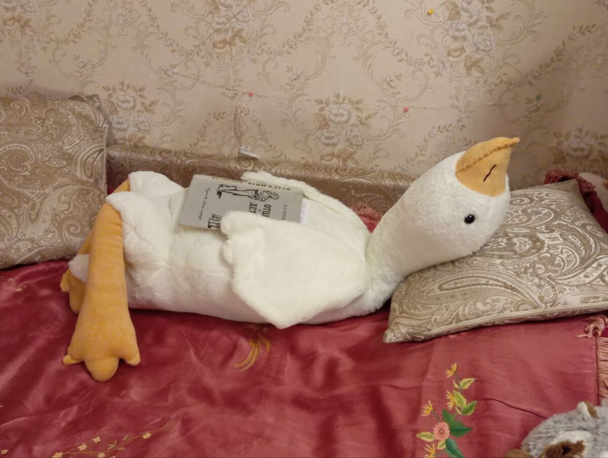 Уснул за книгой 