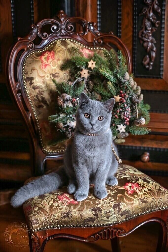 Фото из доступного источника