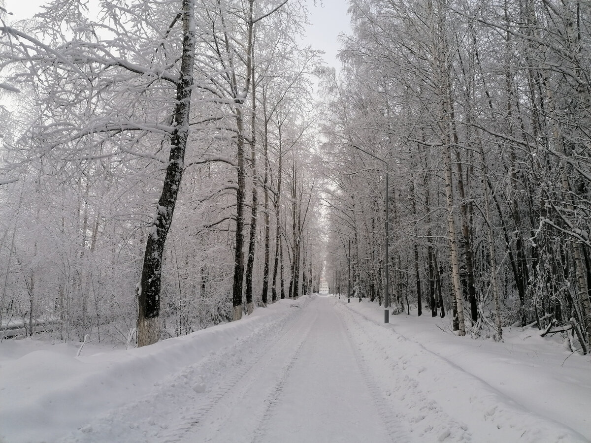 Дорога на работу в зимнем наряде
