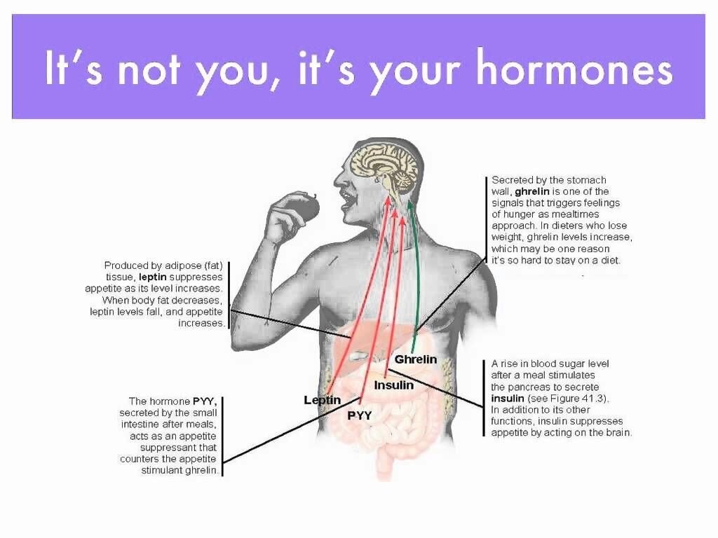 «Это не ты, это твои гормоны» - утверждение, которое, на мой взгляд, имеет негативную роль, снимая всякую ответственность за развитие ожирения с человека.На рисунке обозначено влияние четырех гормонов на аппетит. Грелин (с зеленой стрелкой) синтезируется в желудке и известен своей способностью вызывать чувство голода. Среди гормонов, подавляющих аппетит (с красными стрелками) представлены лептин, пептид YY и, как кому-то покажется странным, инсулин. А ведь именно инсулин некоторые инстаграмные эндокринологи обвиняют в развитии ожирения.