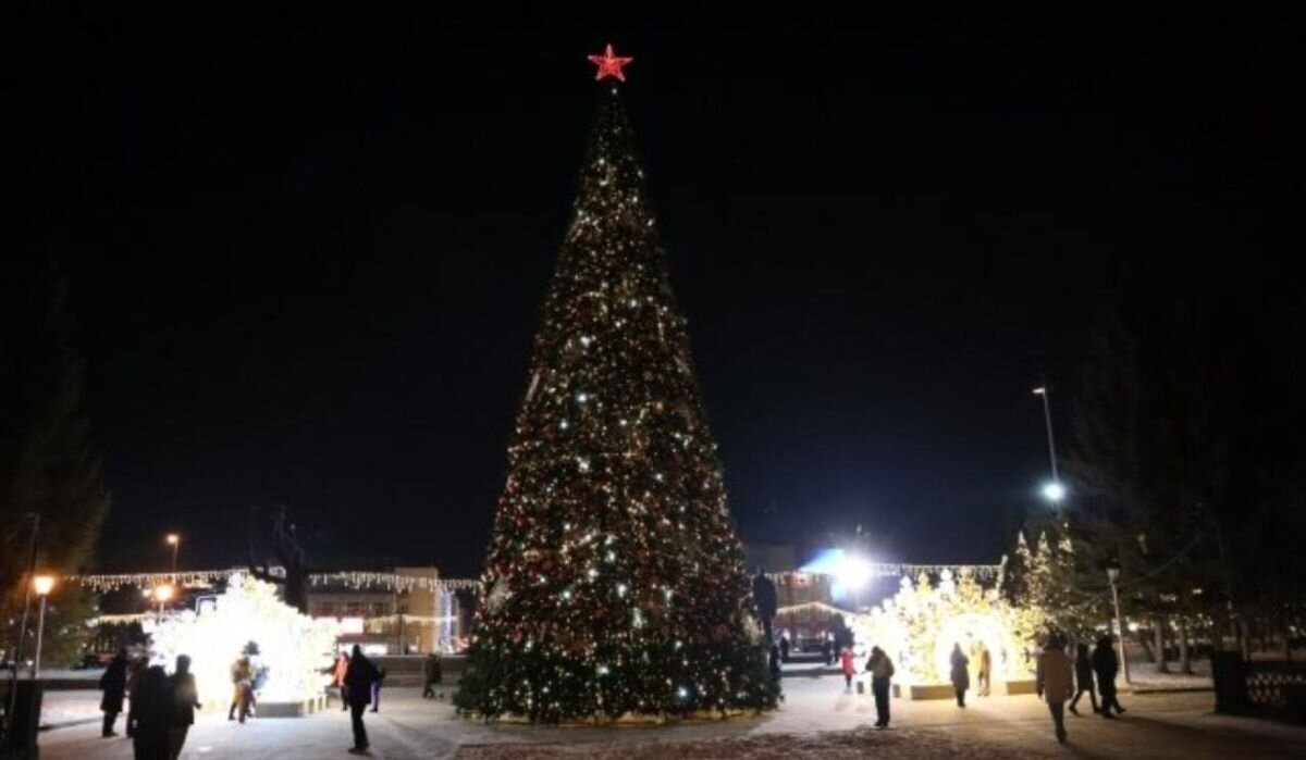     Елка. Источник: nsk.aif.ru Автор фото: Михаил Крючков