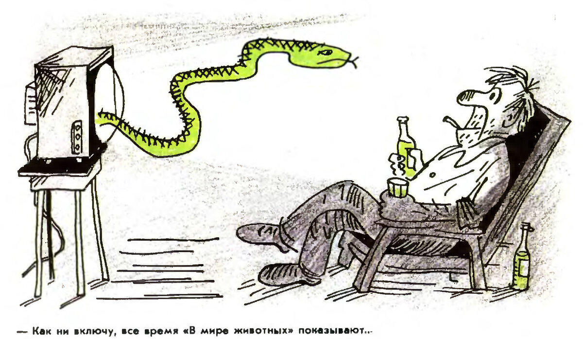 Очнуться в бомжатнике | МИЛЕДИ | Дзен