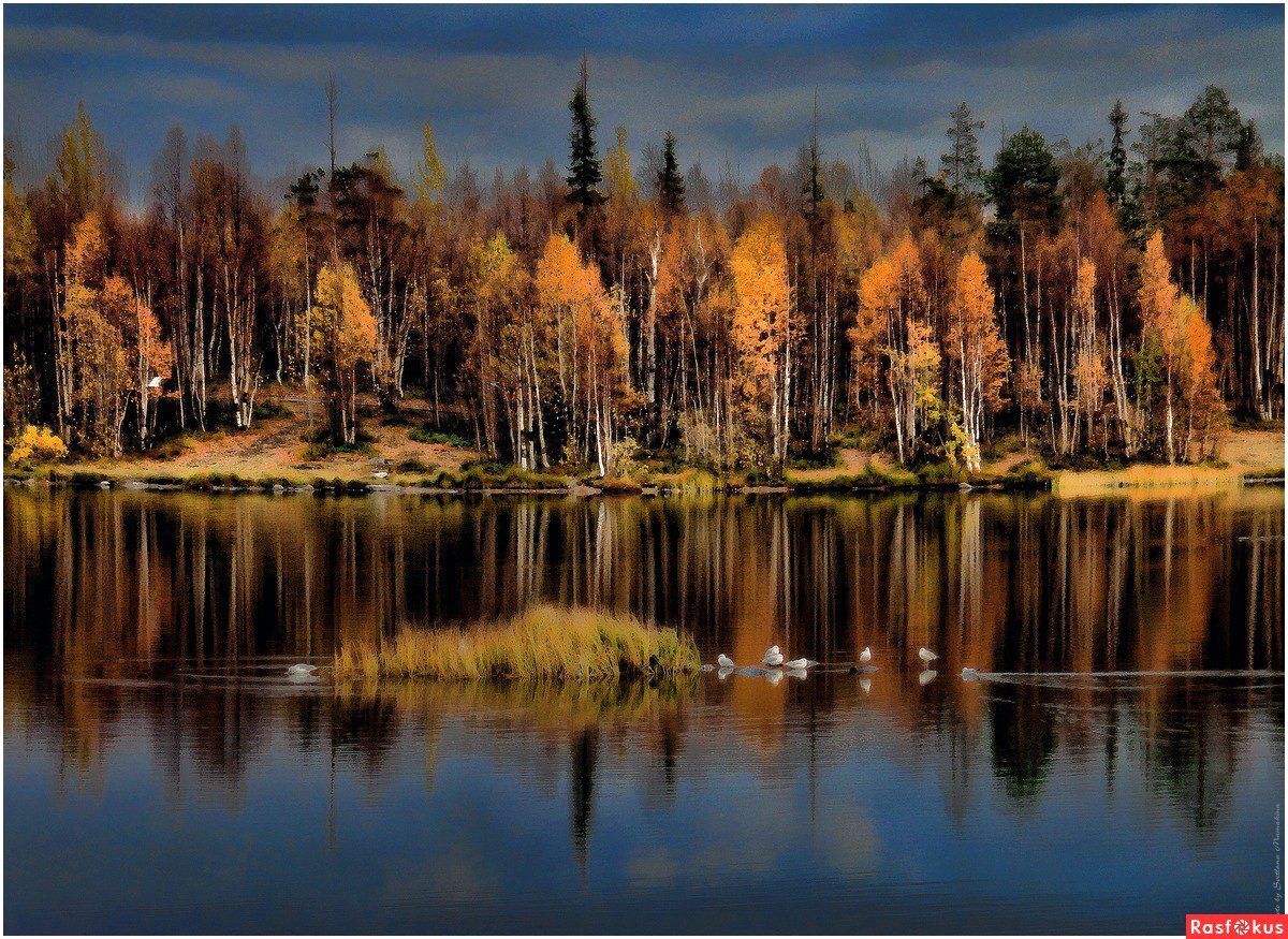 неисчислимые водоемы.