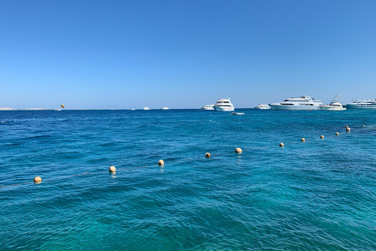 Летом температура воды в Красном море держится на отметке в среднем +27 °C, зимой не опускается ниже +21 °C. Источник: Оleksandra Нamova / DIqil1Mg_sM-unsplash