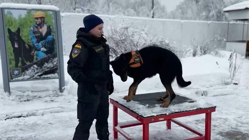 Фото: © Скриншот видео