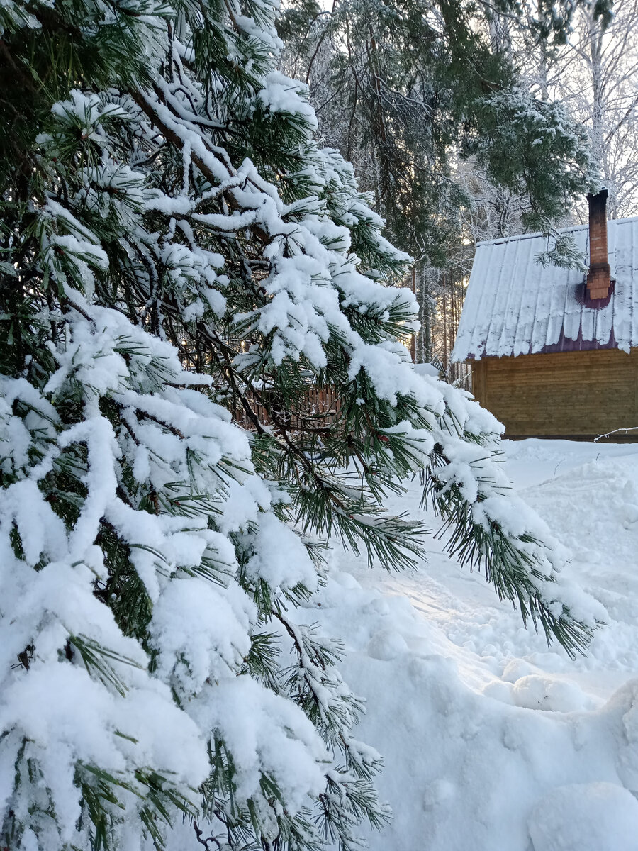 Наша природа уникальна: в Модно красиво в любое время года, такая у нас деревня