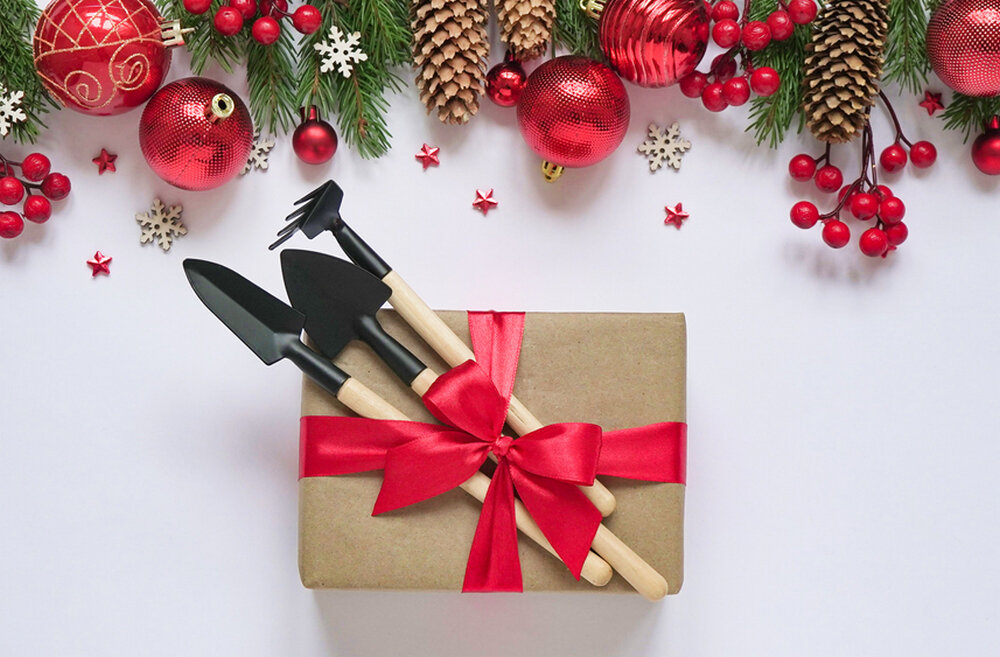    Какой подарок для дачника положить под елочку?