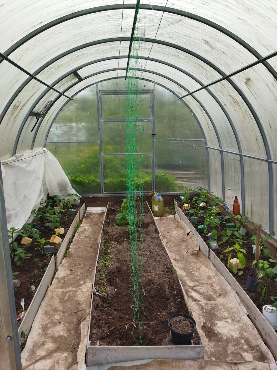 Здесь эту сетку видно хорошо) фото 20 мая 2023 года