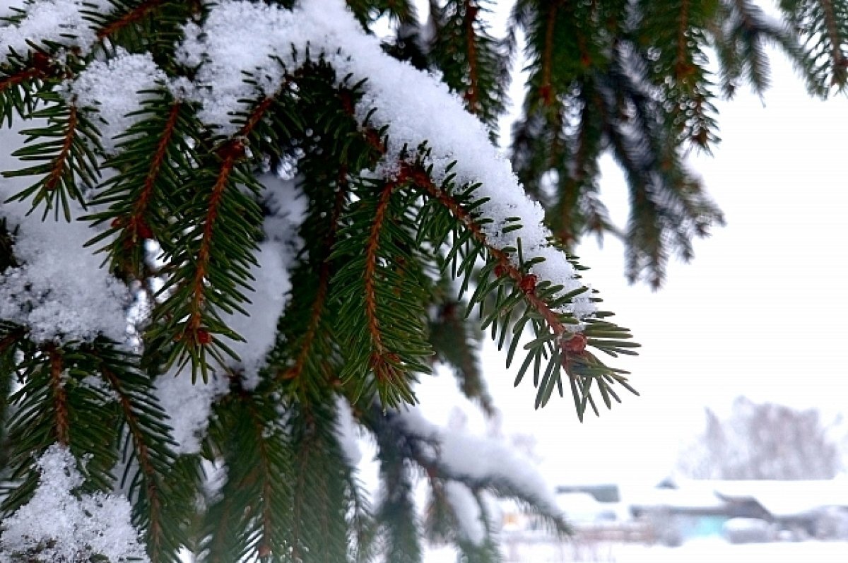    В Екатеринбурге побит суточный рекорд по количеству выпавшего снега