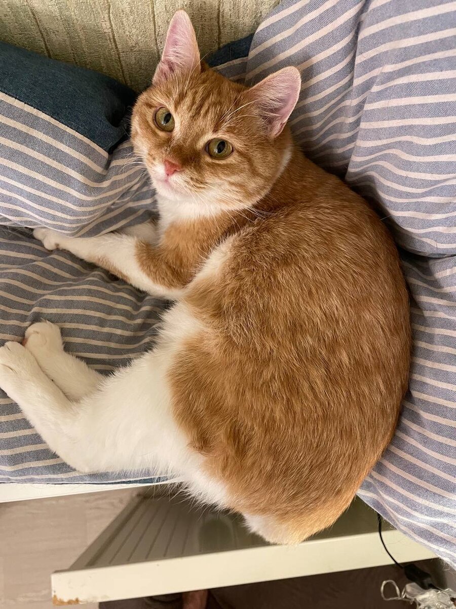 Лиза - сегодняшнее время