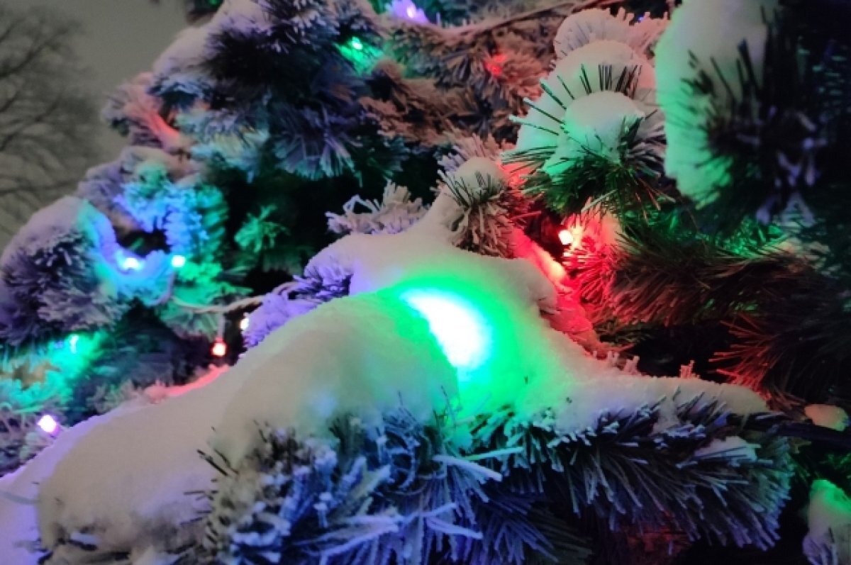    В Казани состоялась новогодняя вечеринка на дне озера Изумрудное.