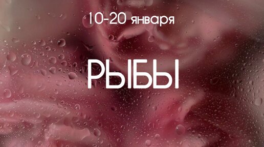 Рыбы ♓️ События декады с 10 по 20 Января