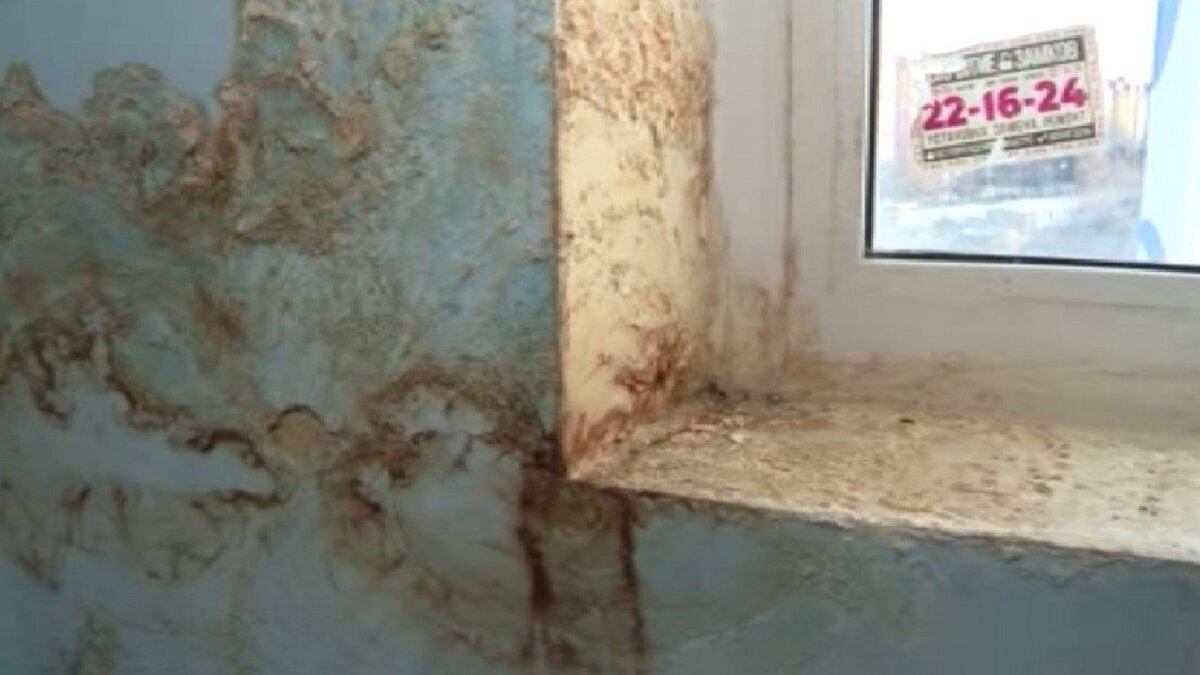    В Курске в Белорусском квартале дождевая вода затапливает комнаты и балконы в нескольких домах