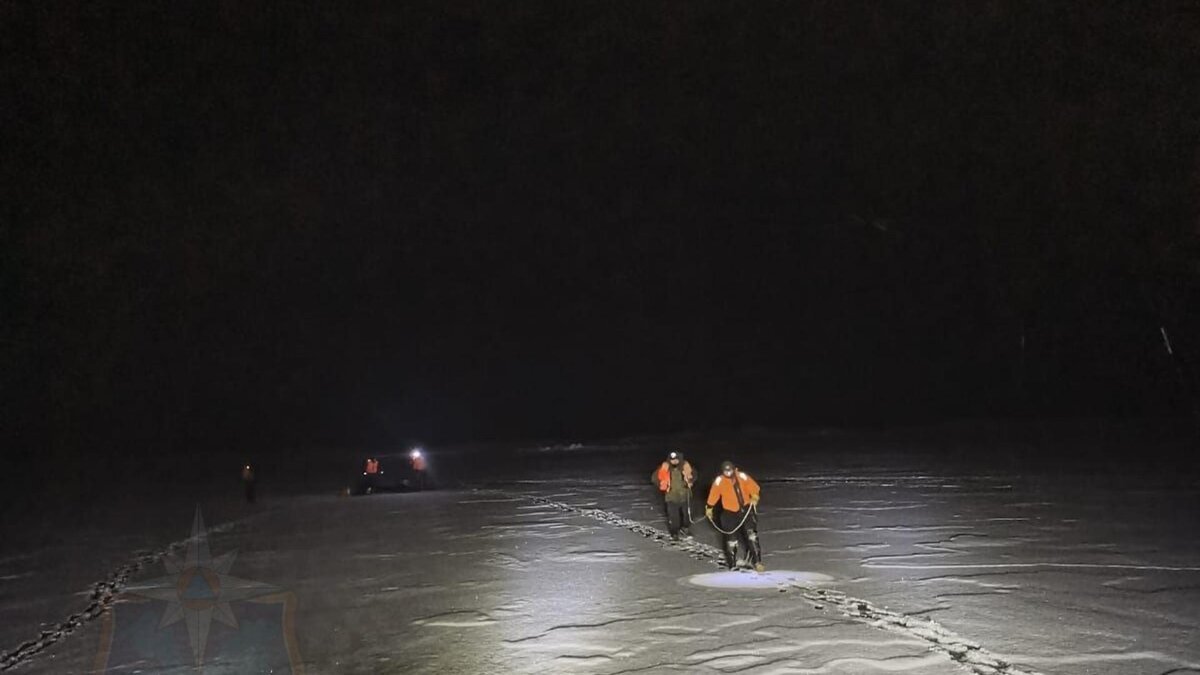 Фото: «Аварийно-спасательная служба ЛО»