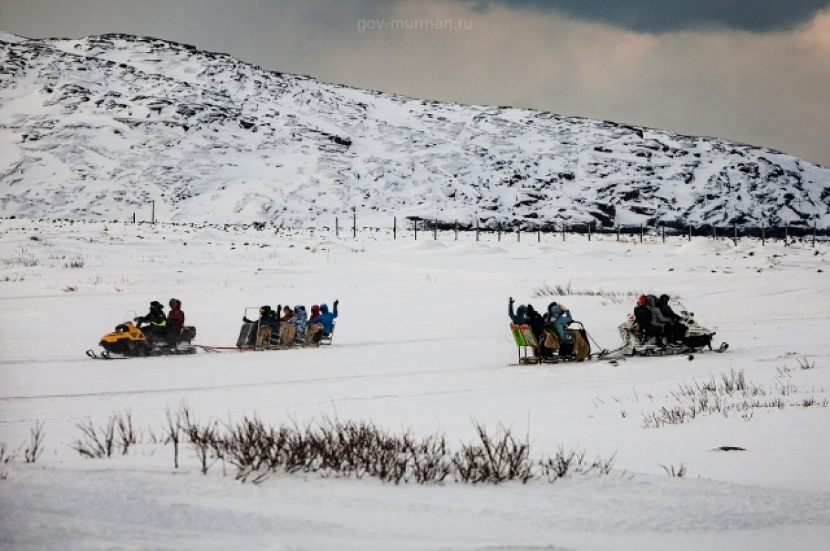    В России управлять снегоходами можно будет с обычными правами