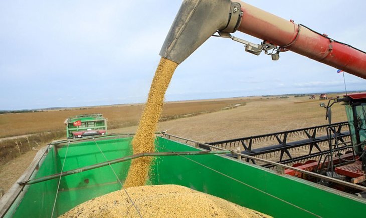    В этом году аграрии Приморья опрыскивали поля с агродронов и боролись с погодными катаклизмами: итоги сезона 2023