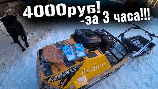 Как заработать на мотобуксировщике 4000 рублей за 3 часа!!!