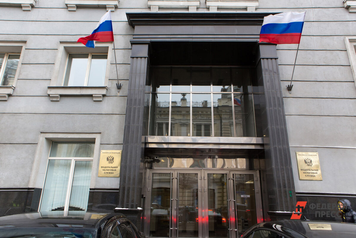 Проверка налоговой может завершиться возбуждением уголовного дела.  Фото: Фото: ФедералПресс / Елена Сычёва