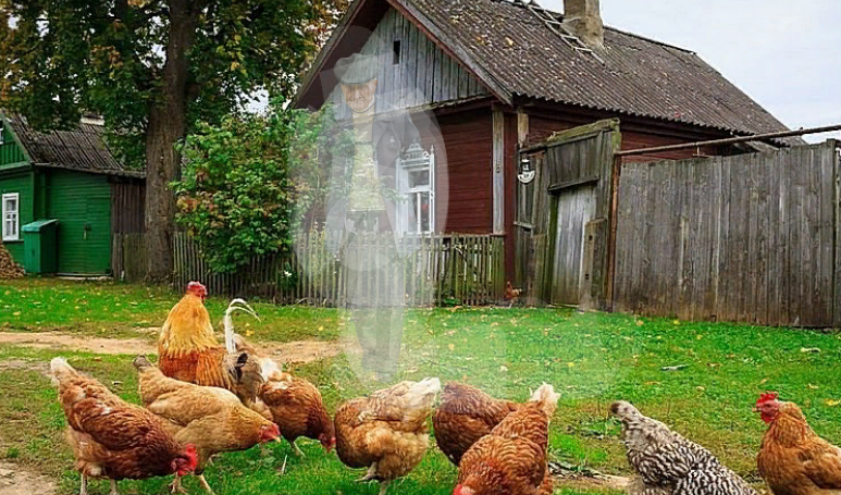 Проба создать призрака. Надо было  выбрать ноябрьский пейзаж, но я сообразила уже потом, а переделывать времени нет. Получился у меня призрак, как вы считаете?