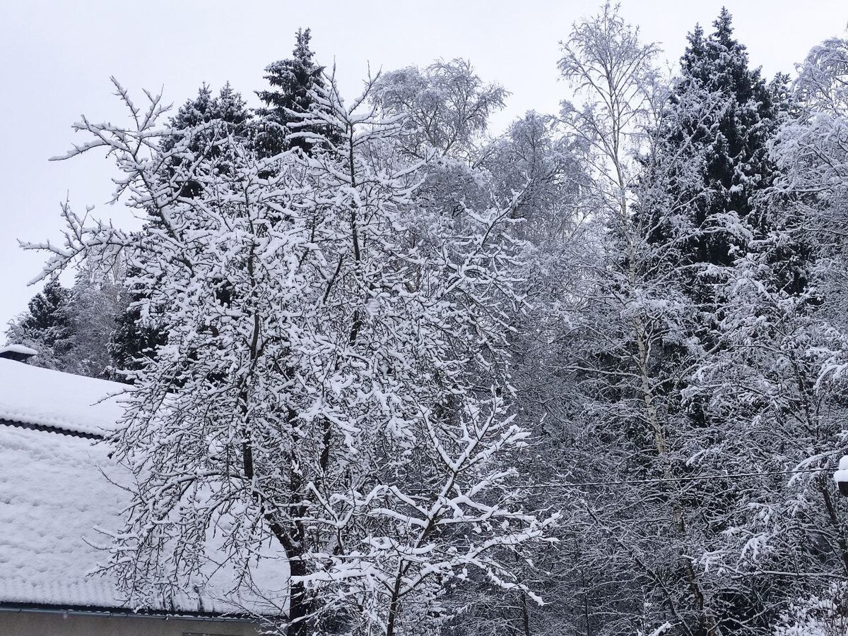 У природы нет плохой погоды