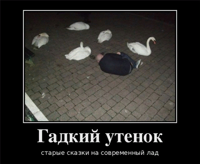 Яндекс-картинка.