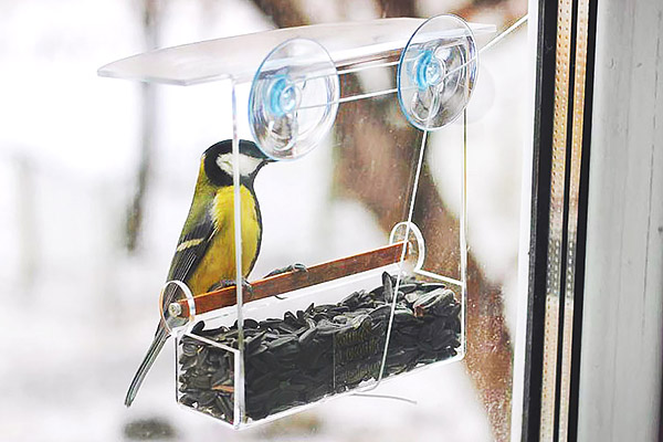 Изображение с сайта catsafety.ru