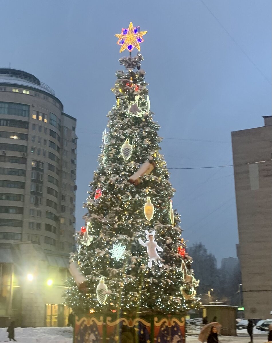 Елка. Фото автора 