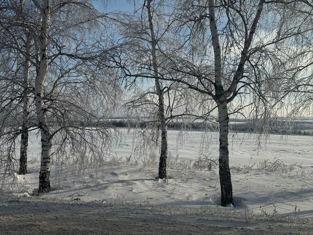 Невероятной красоты создание природы!!!