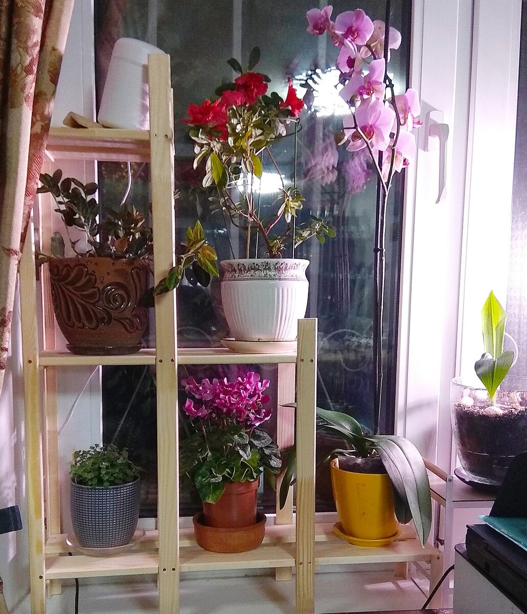 Самодельная горка для цветов в малогабаритной городской квартире