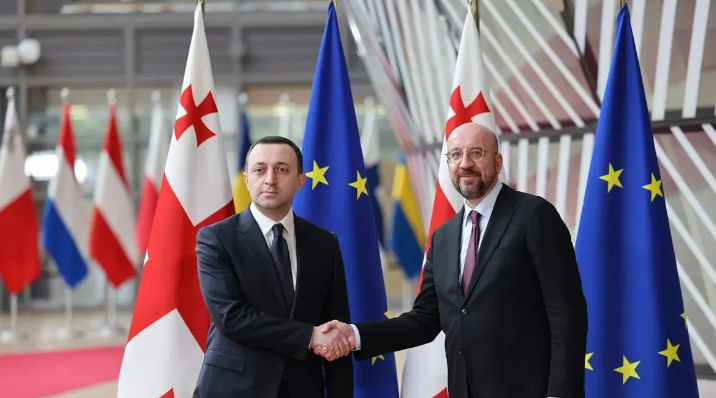 Рукопожатие Грузии и Евросоюза, пока чисто символическое - одни пообещали, а вторые не особо то и верят (фото с сайта politnavigator.net)