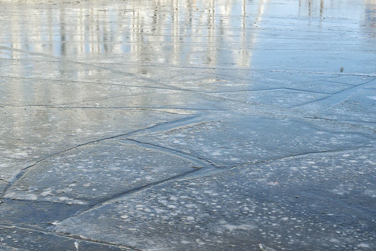 Набережная Максима Горького. Воронеж в ноябре