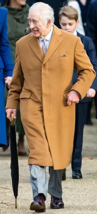 Фото: SAMIR HUSSEIN/WIREIMAGE