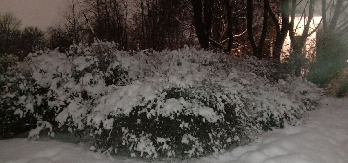 Припорошило снегом.