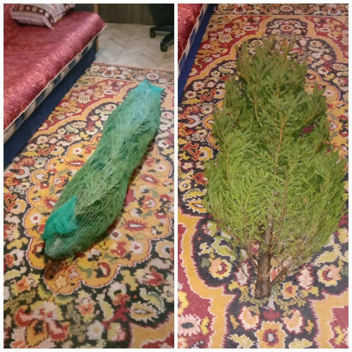  Дома