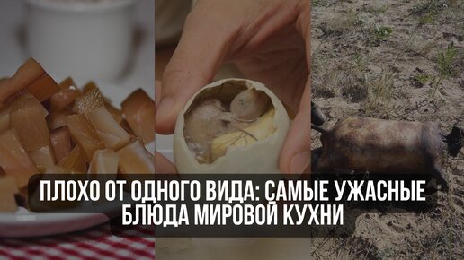 Плохо от одного вида: самые ужасные блюда мировой кухни