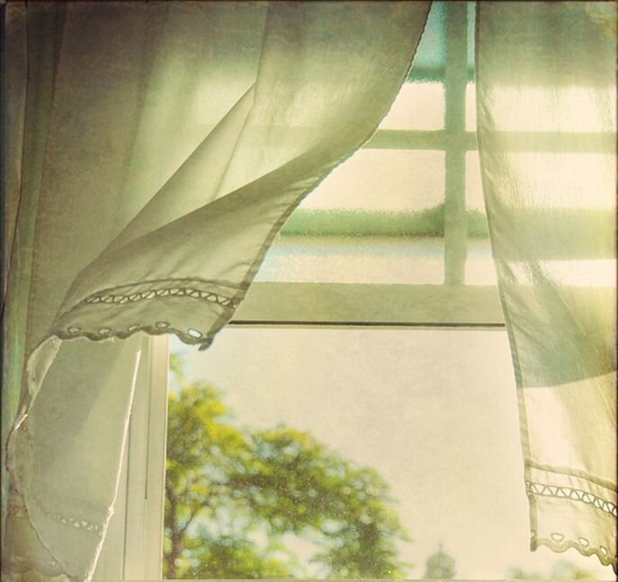 из интернета